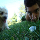 avpic