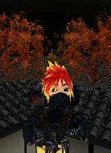 Avatar pic