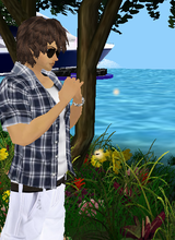 avpic
