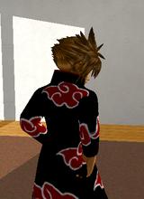 avpic