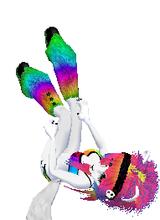 avpic
