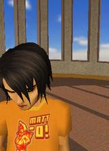 avpic