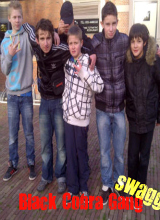 avpic