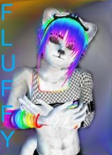 FluffyCookieKing