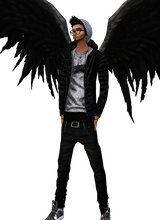 avpic