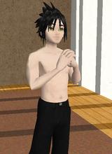 avpic