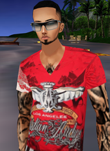 avpic