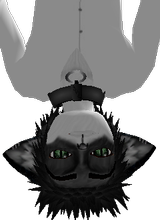 Avatar pic