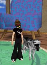 avpic