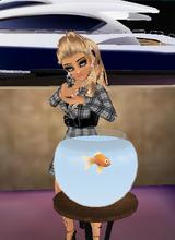avpic