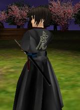Guest_Bushidavid