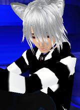 avpic