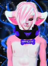 avpic