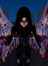 avpic