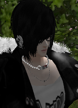 avpic