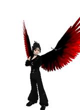 avpic