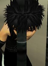 avpic
