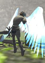 avpic
