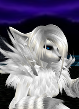 avpic