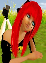 avpic