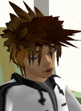 avpic