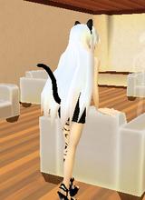 Guest_kittyglamorous