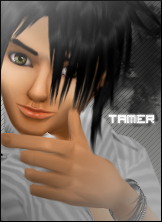 Tamer1992