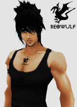 avatar picture