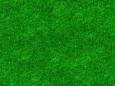 Avatar pic