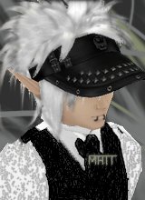 Guest_ChicoSoFly