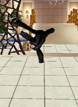 avpic