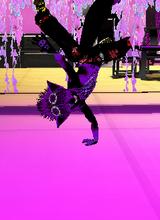 avpic