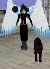 avpic