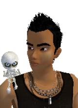 avpic