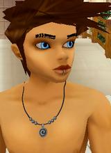 avpic
