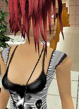 avpic