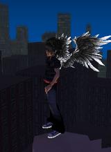 avpic