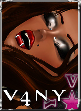 V4NY