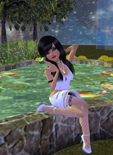 avpic