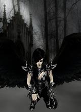 avpic
