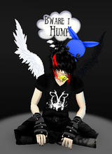 avpic
