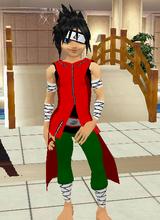 avpic