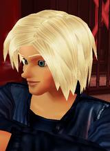 avpic