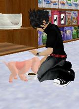 avpic