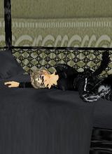 Guest_Haru911