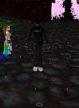 avpic
