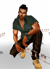 avpic