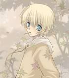 avpic