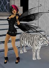 avpic