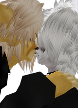 avpic